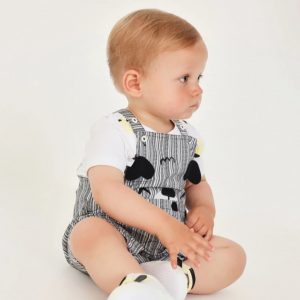 NEWBORN (0-12 months)